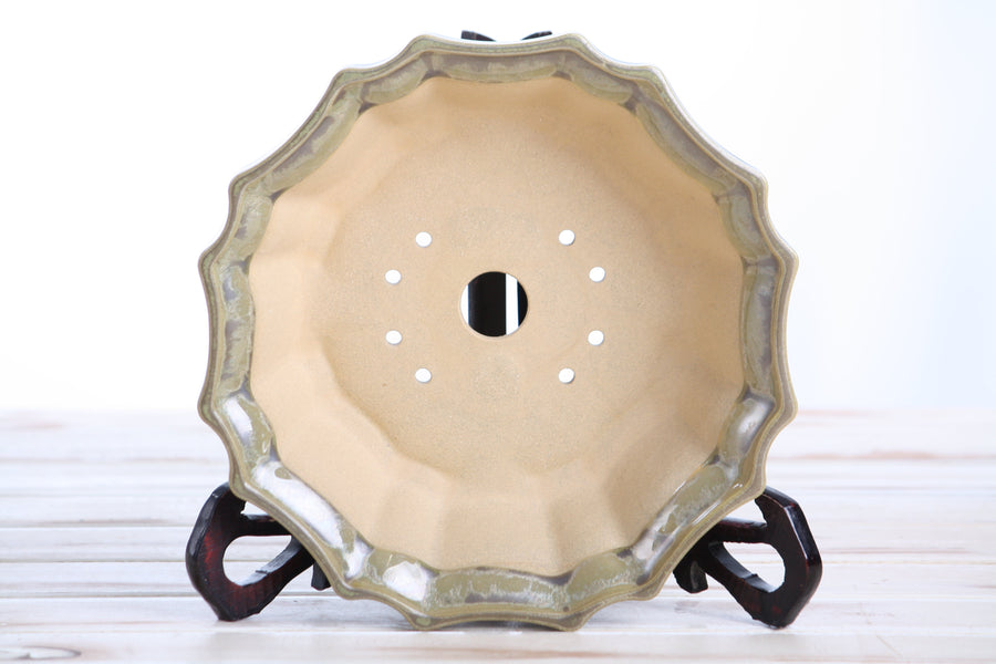 8-Inch Flower Bonsai Pot - Copenhagen