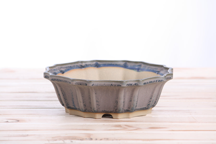 8-Inch Flower Bonsai Pot - Ocean