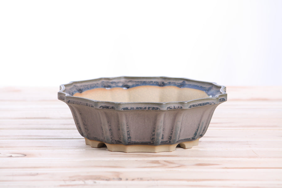 8-Inch Flower Bonsai Pot - Ocean