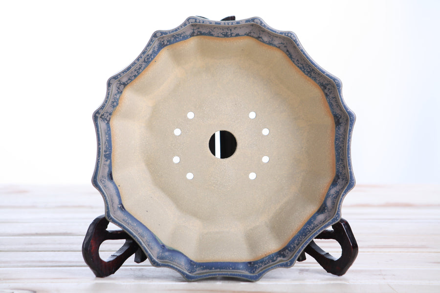 8-Inch Flower Bonsai Pot - Ocean