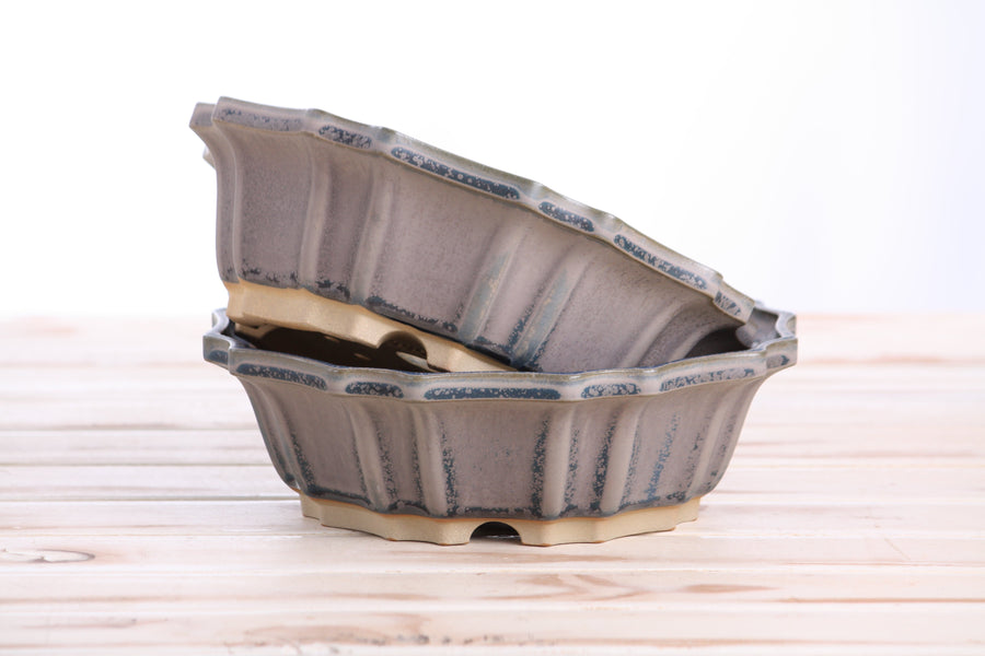 8-Inch Flower Bonsai Pot - Ocean