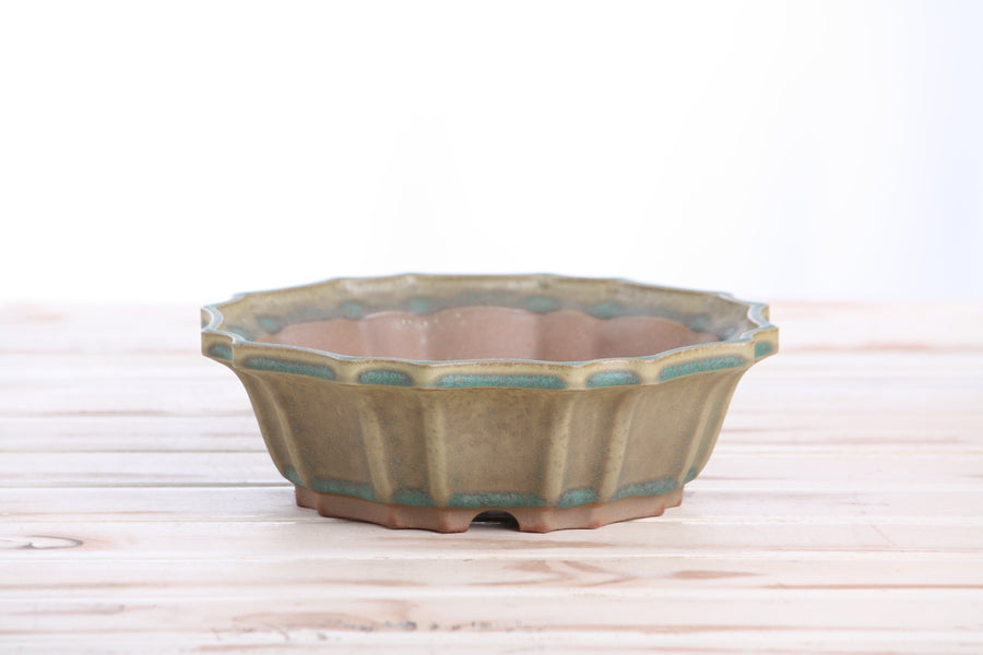 8-Inch Flower Bonsai Pot - Speckled Moss