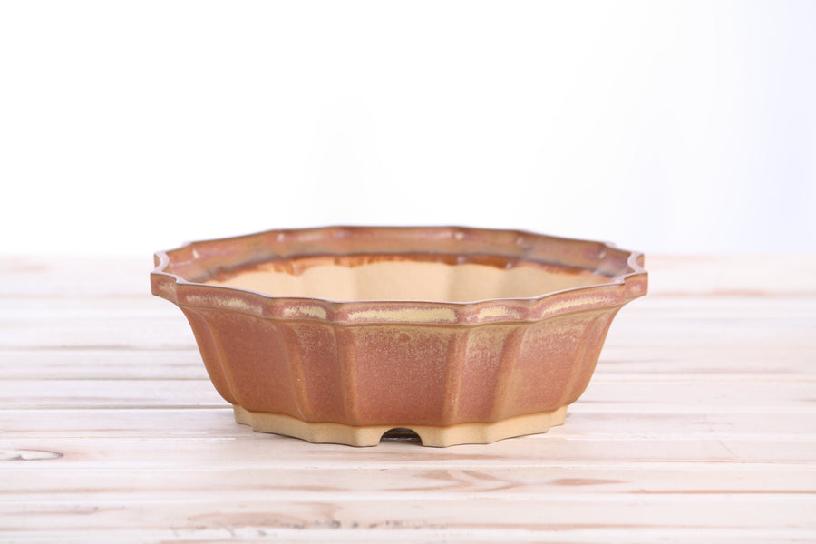 8-Inch Flower Bonsai Pot - Deep Stone
