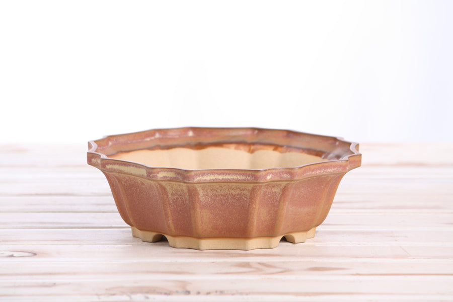 8-Inch Flower Bonsai Pot - Deep Stone
