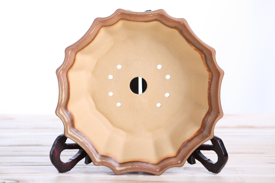 8-Inch Flower Bonsai Pot - Deep Stone