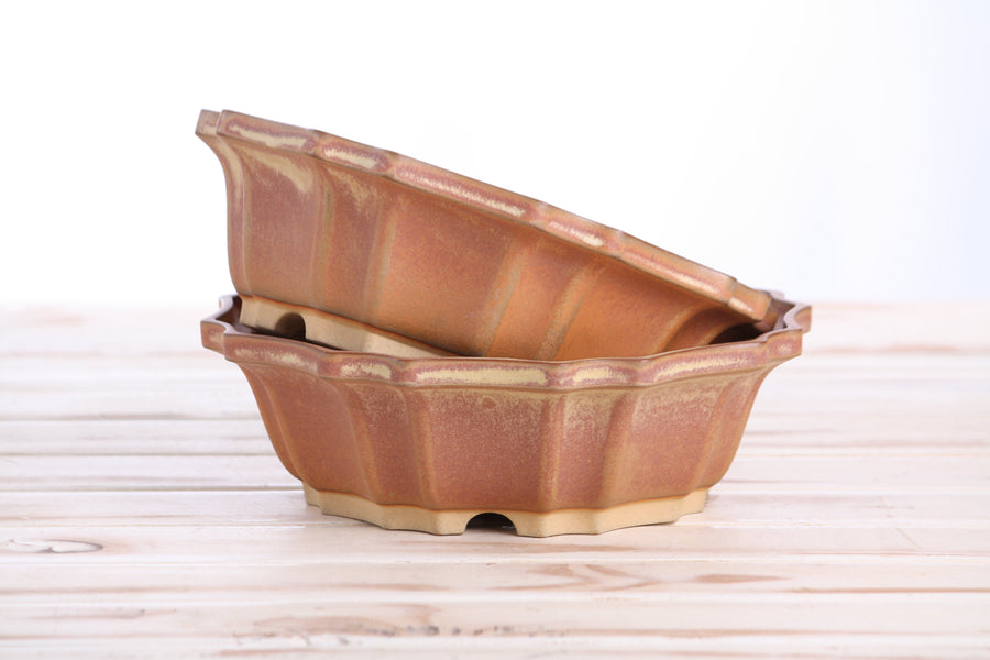 8-Inch Flower Bonsai Pot - Deep Stone
