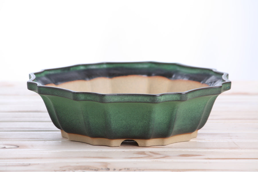10-Inch Flower Bonsai Pot - Avocado