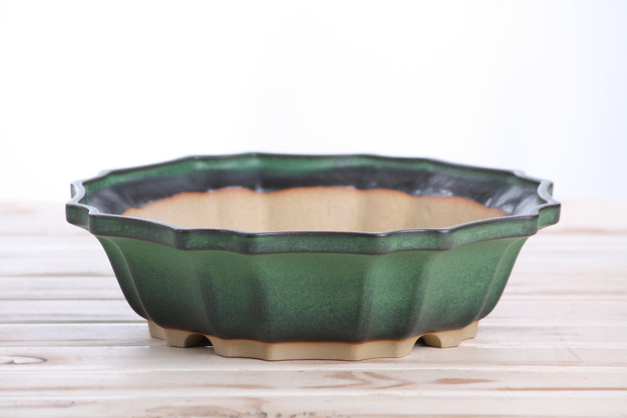 10-Inch Flower Bonsai Pot - Avocado
