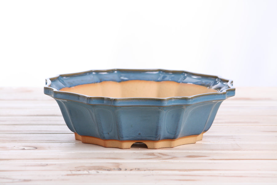 10-Inch Flower Bonsai Pot - Peacock 2025