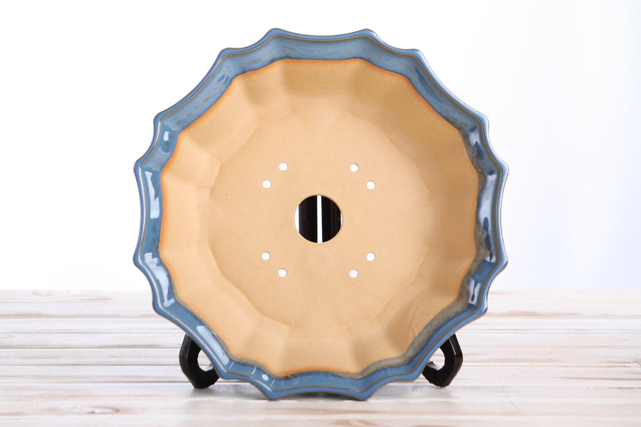 10-Inch Flower Bonsai Pot - Peacock 2025