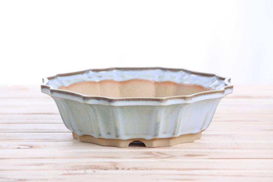 10-Inch Flower Bonsai Pot - Glacier