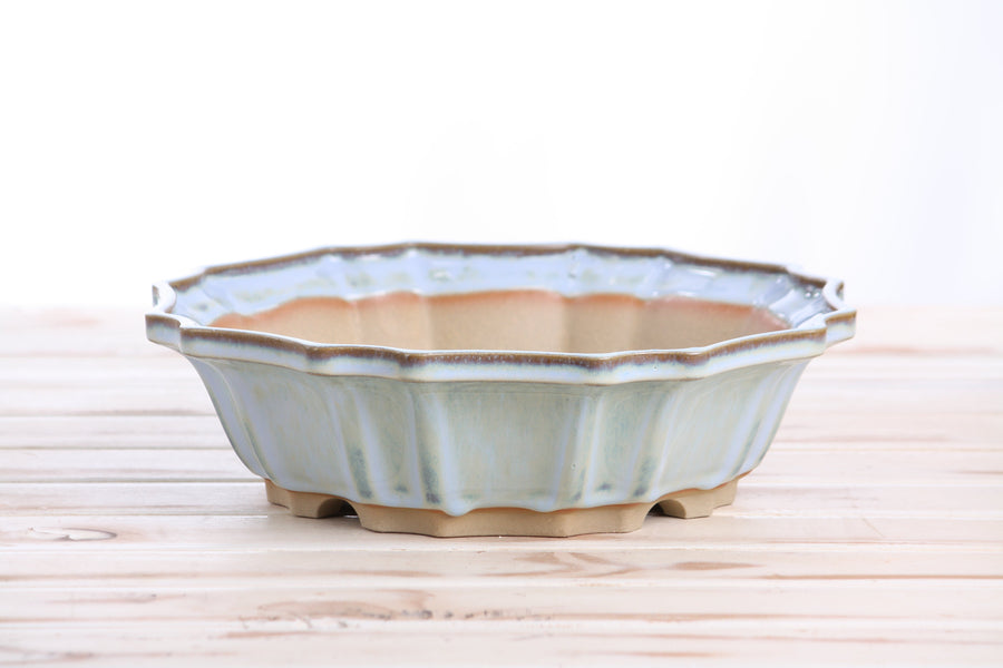 10-Inch Flower Bonsai Pot - Glacier