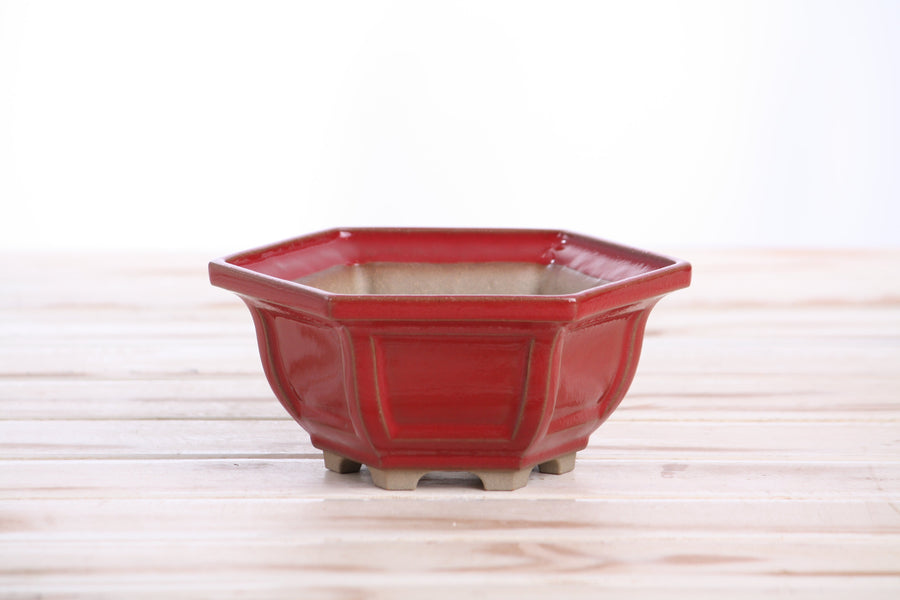 5-Inch Hexagonal Windowed Bonsai Pot - Red