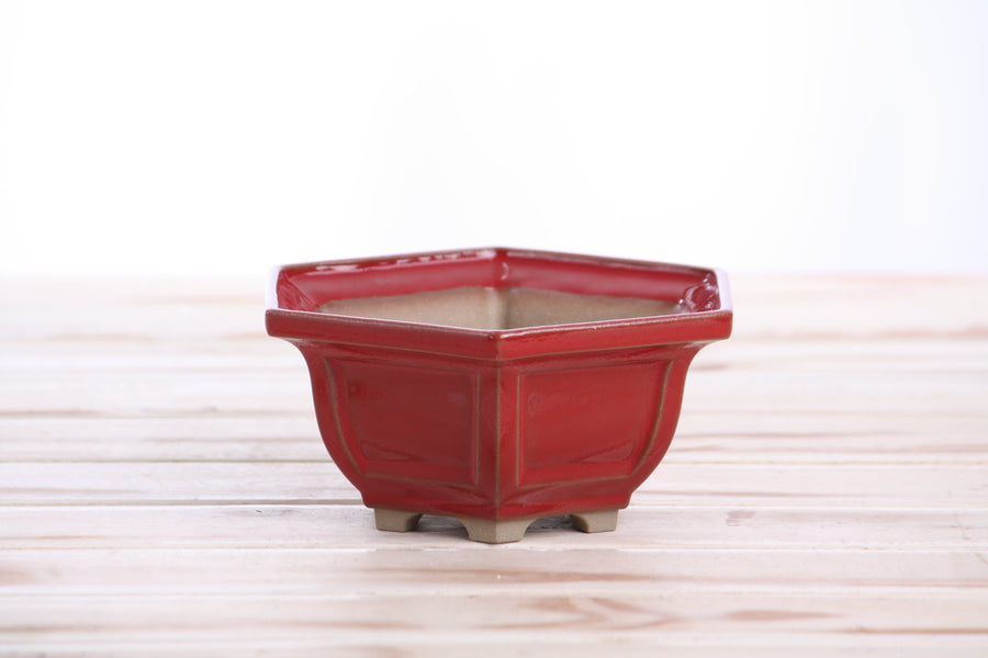 5-Inch Hexagonal Windowed Bonsai Pot - Red