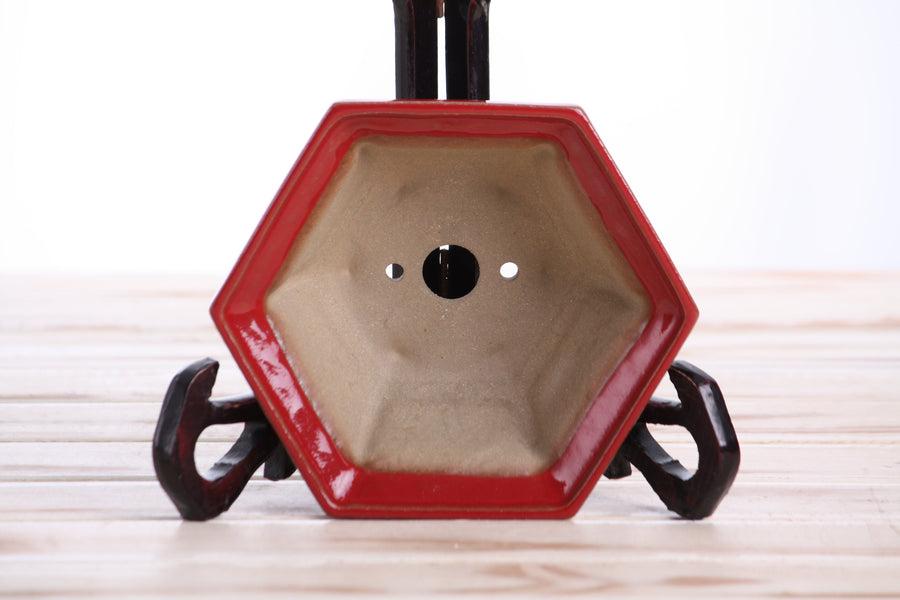 5-Inch Hexagonal Windowed Bonsai Pot - Red