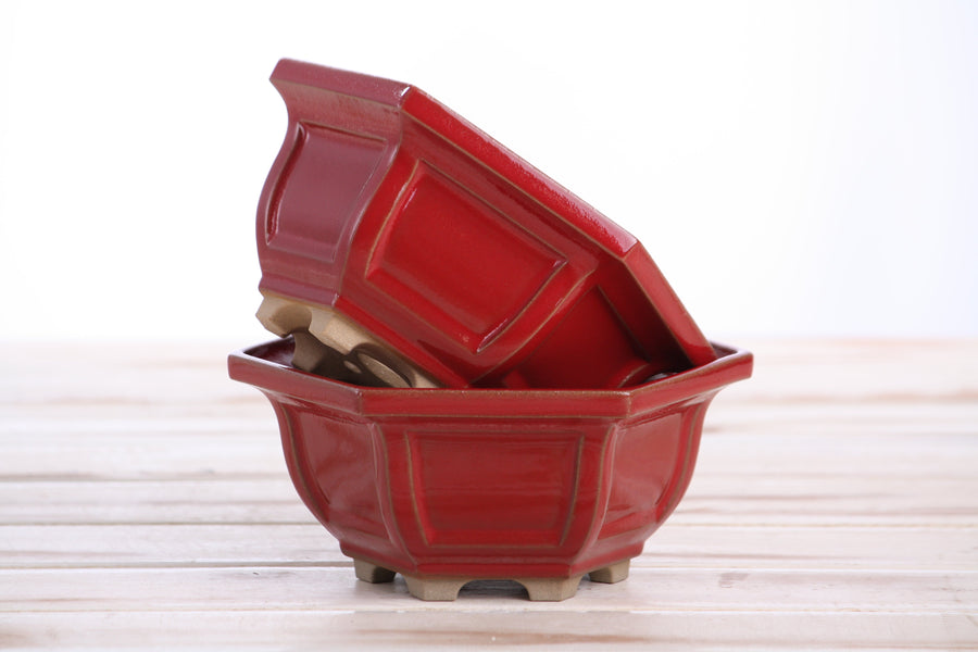 5-Inch Hexagonal Windowed Bonsai Pot - Red