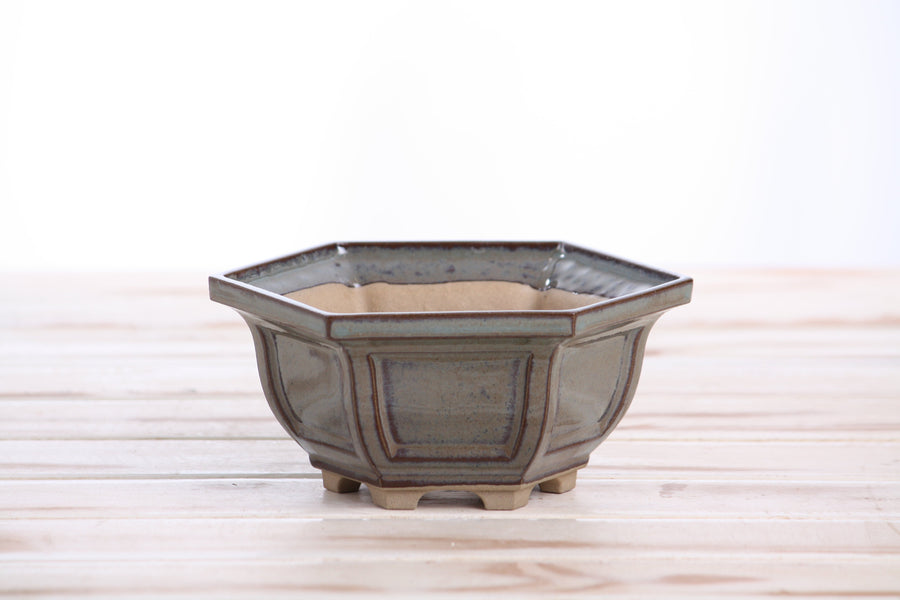 5-Inch Hexagonal Windowed Bonsai Pot - Starry Night