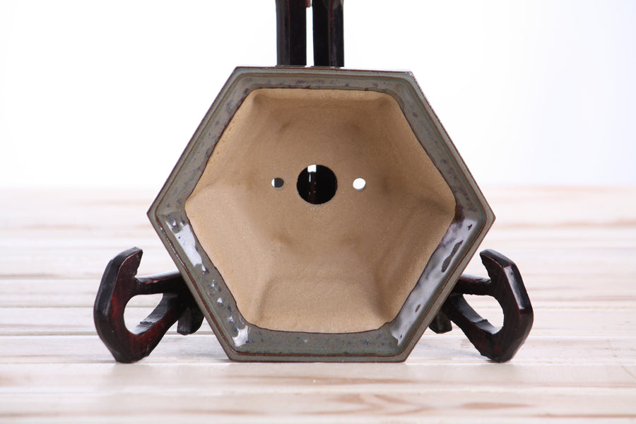 5-Inch Hexagonal Windowed Bonsai Pot - Starry Night