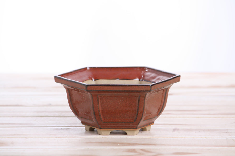 5-Inch Hexagonal Windowed Bonsai Pot - Sunset