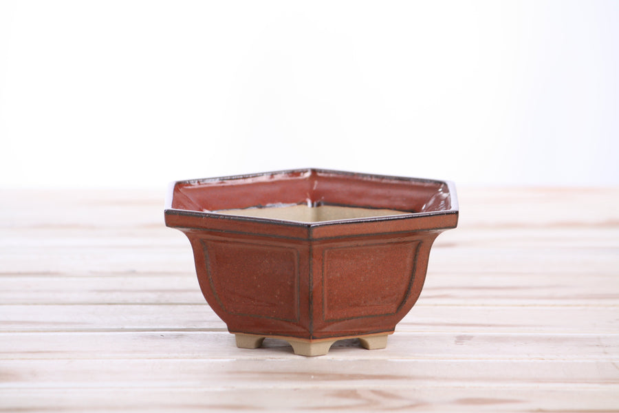 5-Inch Hexagonal Windowed Bonsai Pot - Sunset