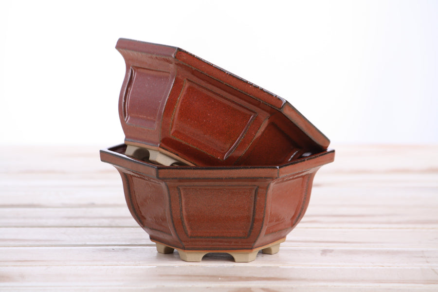 5-Inch Hexagonal Windowed Bonsai Pot - Sunset