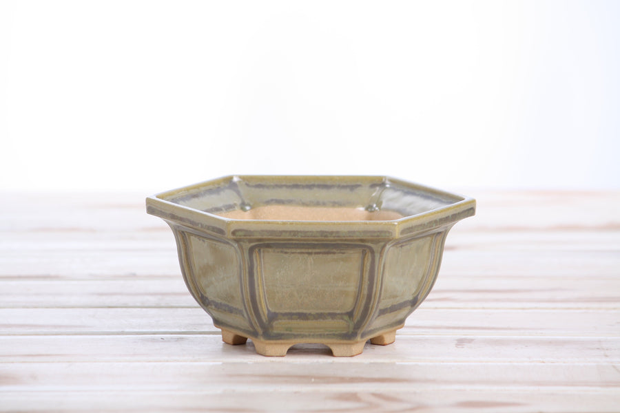 5-Inch Hexagonal Windowed Bonsai Pot - Copenhagen