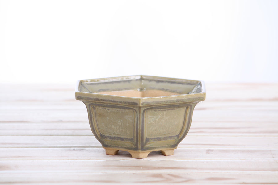 5-Inch Hexagonal Windowed Bonsai Pot - Copenhagen