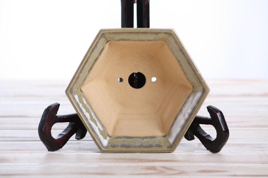 5-Inch Hexagonal Windowed Bonsai Pot - Copenhagen
