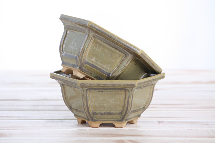 5-Inch Hexagonal Windowed Bonsai Pot - Copenhagen