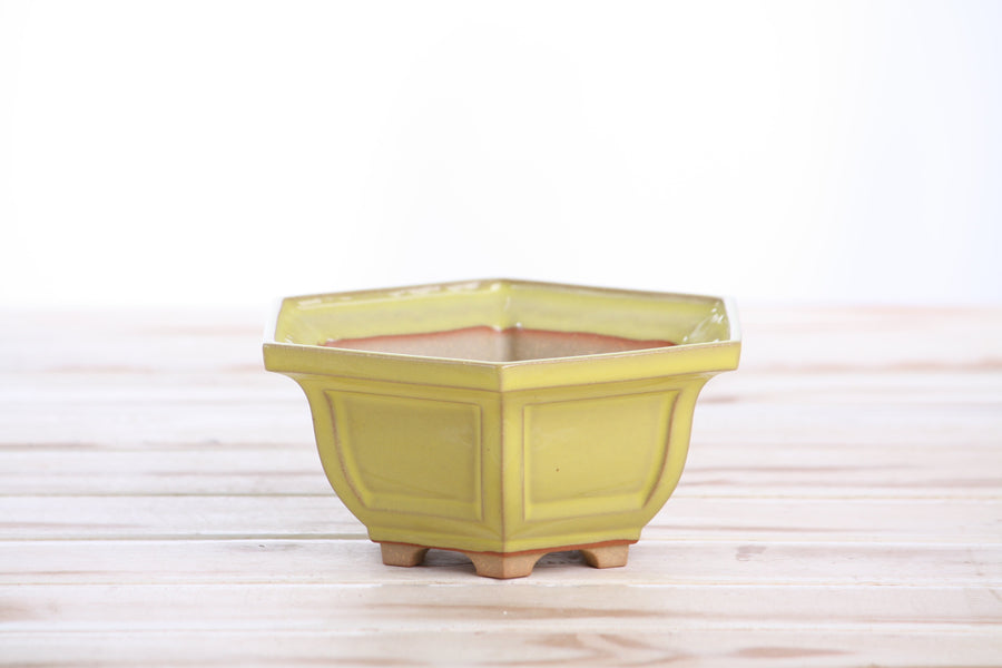5-Inch Hexagonal Windowed Bonsai Pot - Yellow