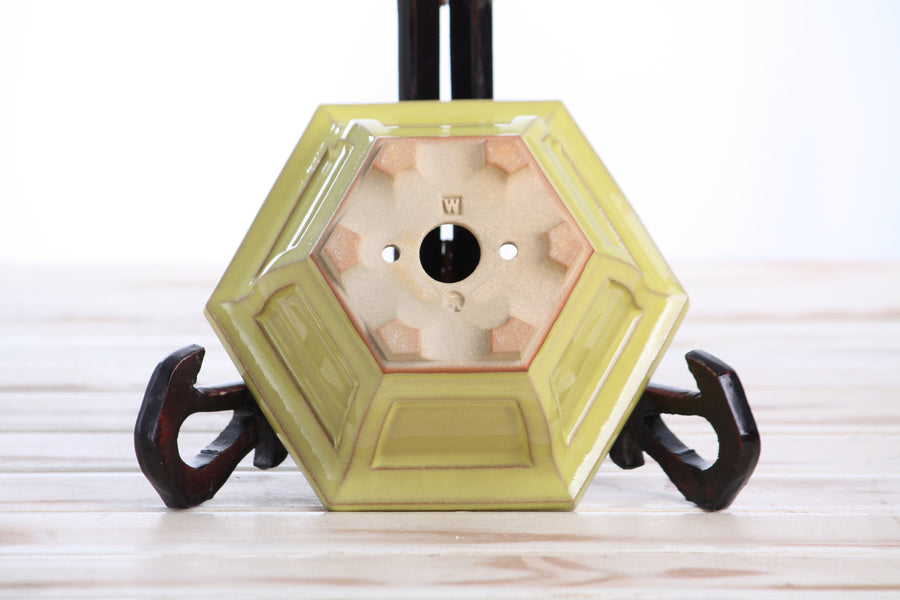 5-Inch Hexagonal Windowed Bonsai Pot - Yellow