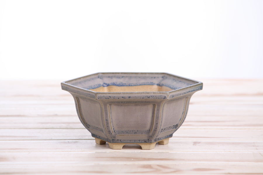 5-Inch Hexagonal Windowed Bonsai Pot - Ocean