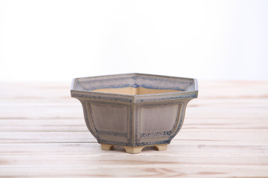 5-Inch Hexagonal Windowed Bonsai Pot - Ocean