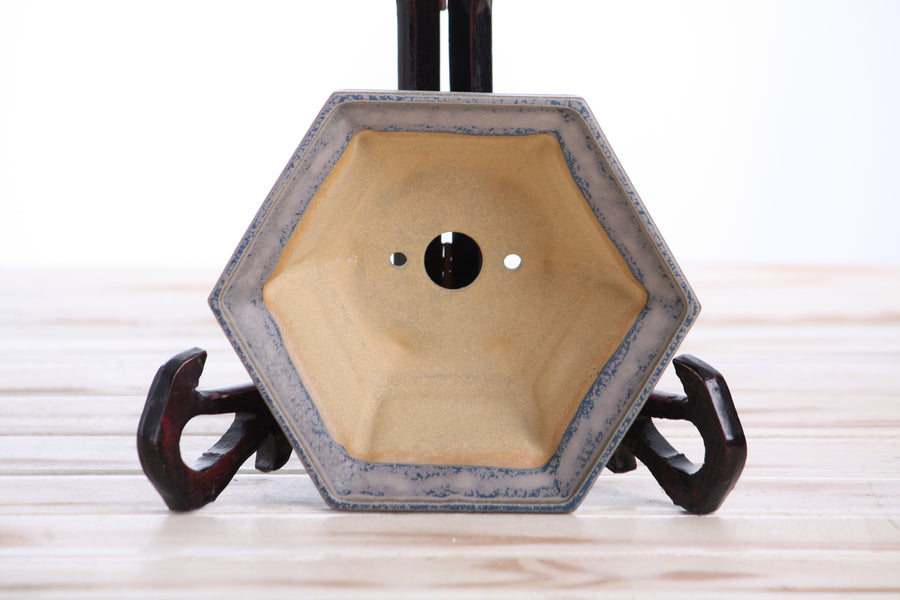 5-Inch Hexagonal Windowed Bonsai Pot - Ocean