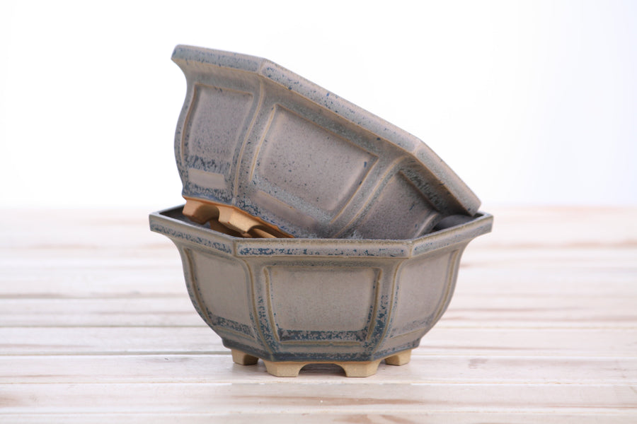 5-Inch Hexagonal Windowed Bonsai Pot - Ocean