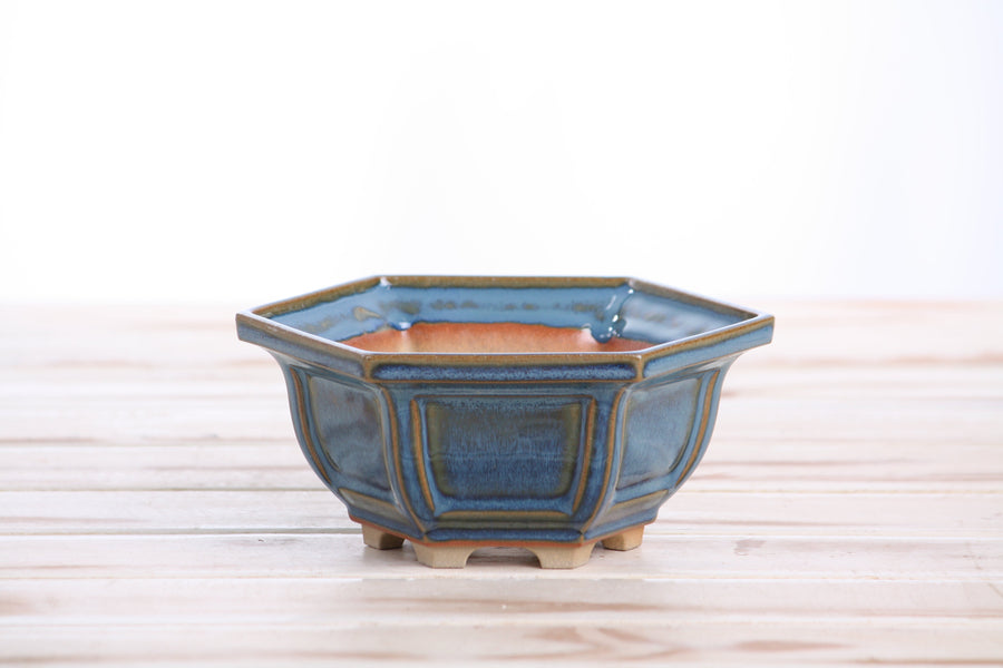 5-Inch Hexagonal Windowed Bonsai Pot - Peacock 2025