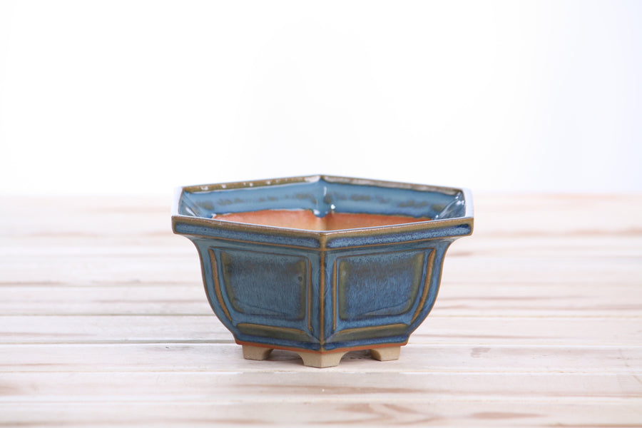 5-Inch Hexagonal Windowed Bonsai Pot - Peacock 2025