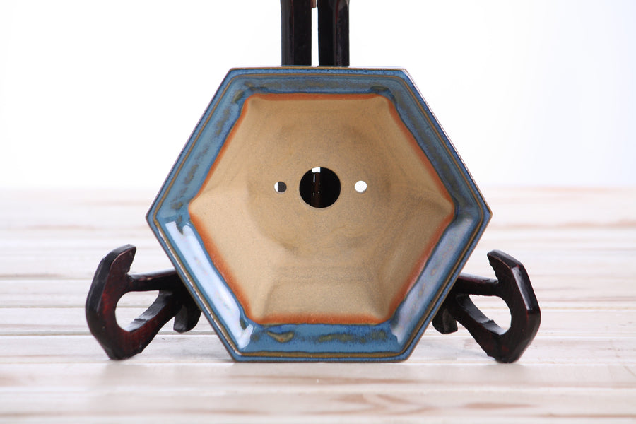 5-Inch Hexagonal Windowed Bonsai Pot - Peacock 2025