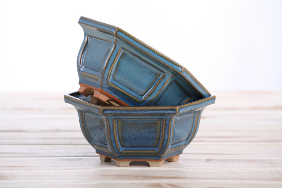 5-Inch Hexagonal Windowed Bonsai Pot - Peacock 2025