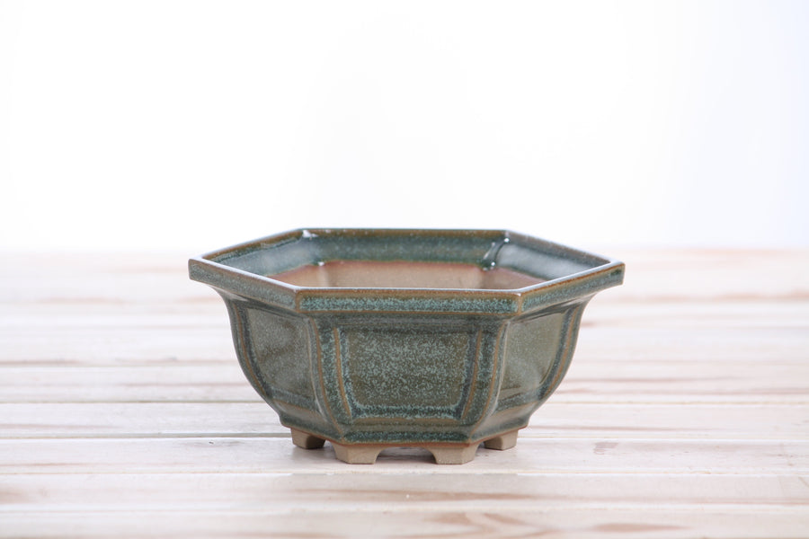 5-Inch Hexagonal Windowed Bonsai Pot - Seaweed 2025