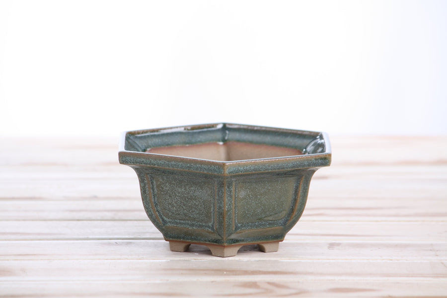 5-Inch Hexagonal Windowed Bonsai Pot - Seaweed 2025