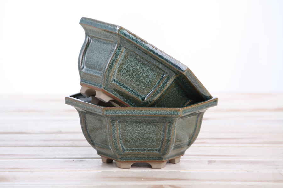 5-Inch Hexagonal Windowed Bonsai Pot - Seaweed 2025