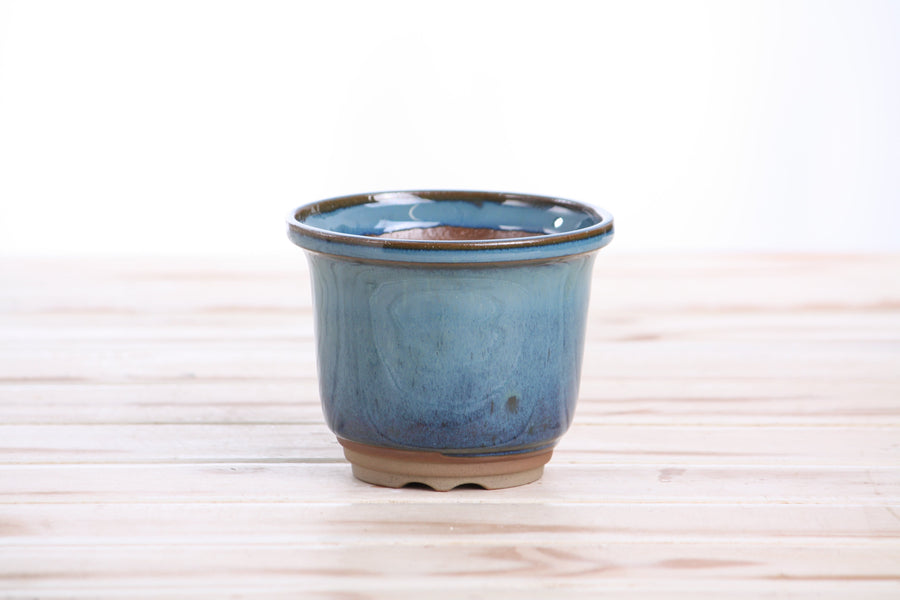 4-Inch Flute Bonsai Pot - Peacock 2025