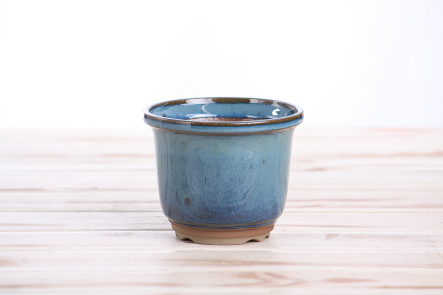 4-Inch Flute Bonsai Pot - Peacock 2025