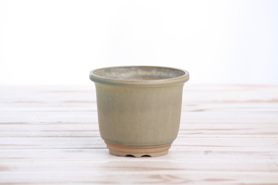 4-Inch Flute Bonsai Pot - Speckled Moss