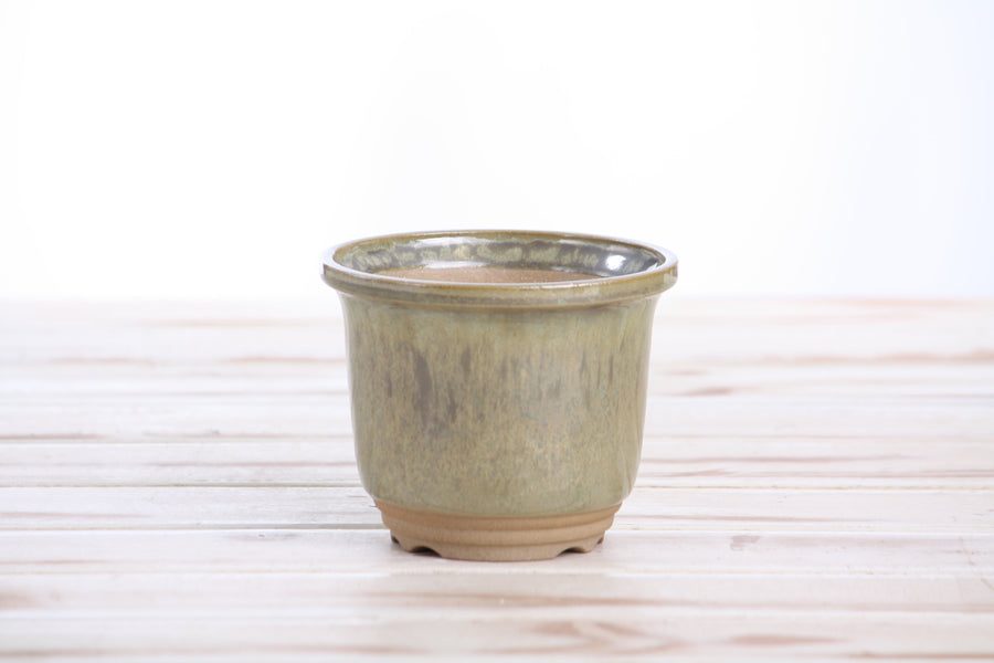 4-Inch Flute Bonsai Pot - Copenhagen