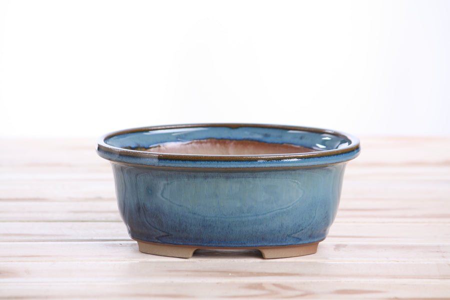 6.5-Inch Fat Oval Bonsai Pot - Peacock 2025