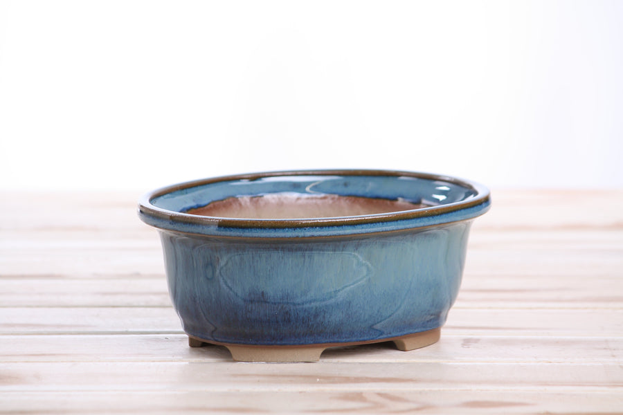 6.5-Inch Fat Oval Bonsai Pot - Peacock 2025