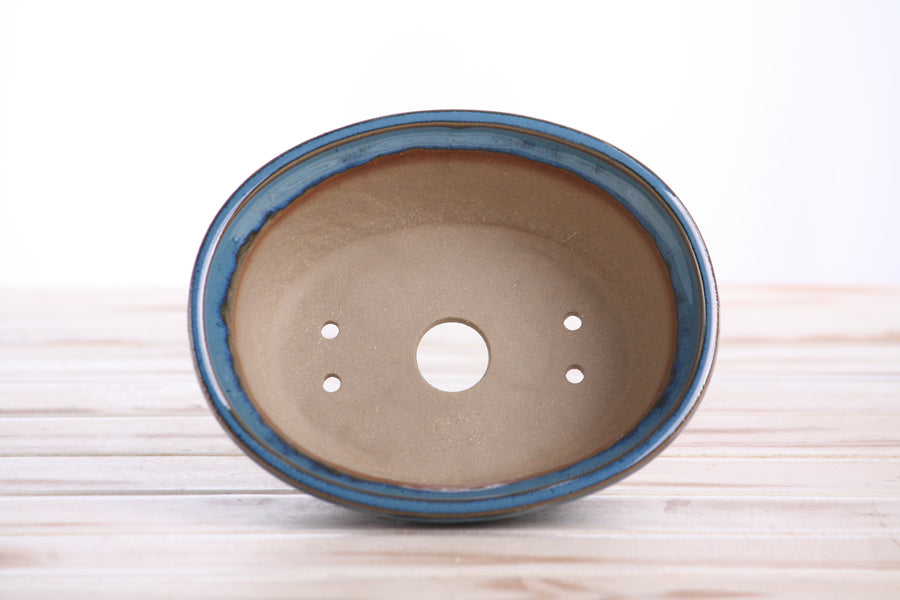 6.5-Inch Fat Oval Bonsai Pot - Peacock 2025