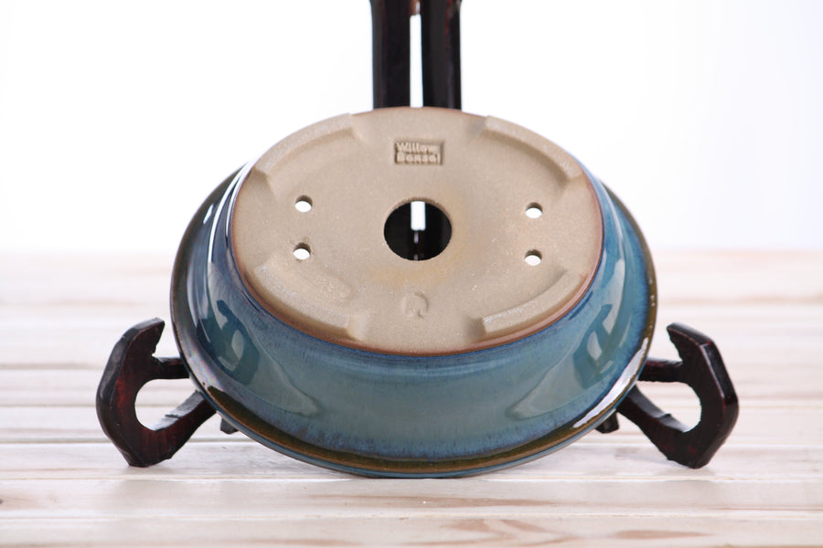 6.5-Inch Fat Oval Bonsai Pot - Peacock 2025